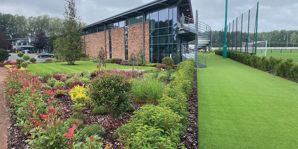 landscaping2